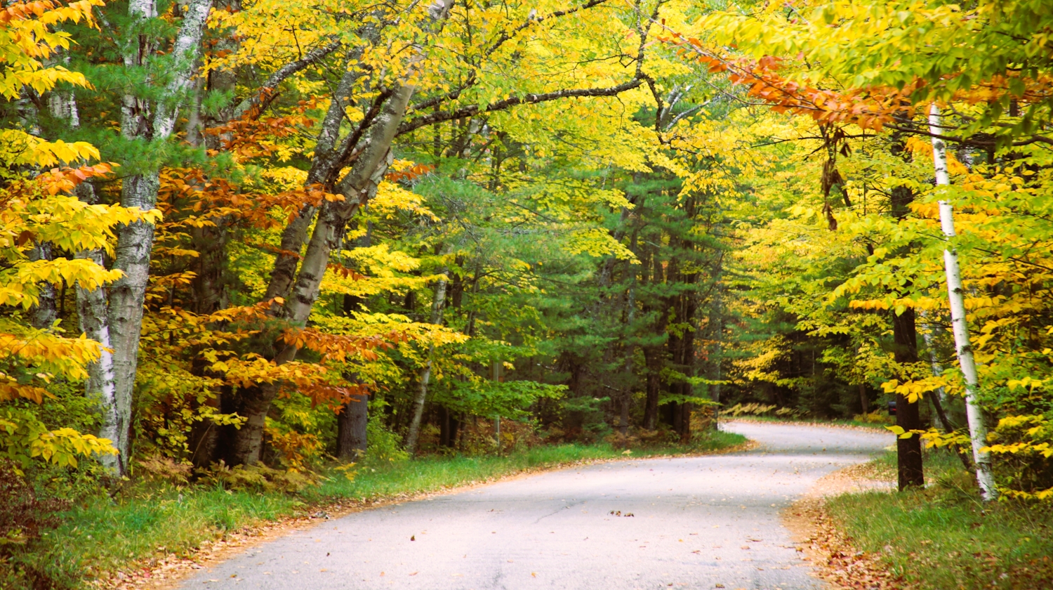 fall trail